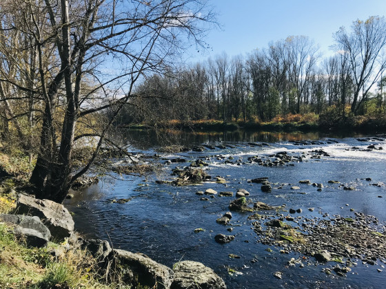 A faire De Chambœuf aux bords de Loire Randonnée