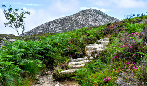 Goatfell Isle Of Arran Walk