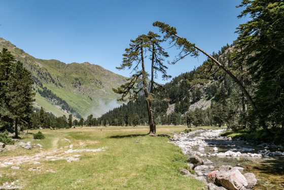 A Faire En Vall E Du Marcadau Du Pont D Espagne Au Refuge Wallon