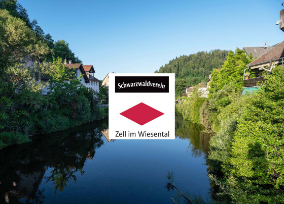 Spaziergang Z5 An Der Wiese Zell Im Wiesental Wanderung