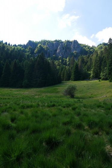 A faire Du Tanet au Lac Vert depuis la cote 1000 Randonnée