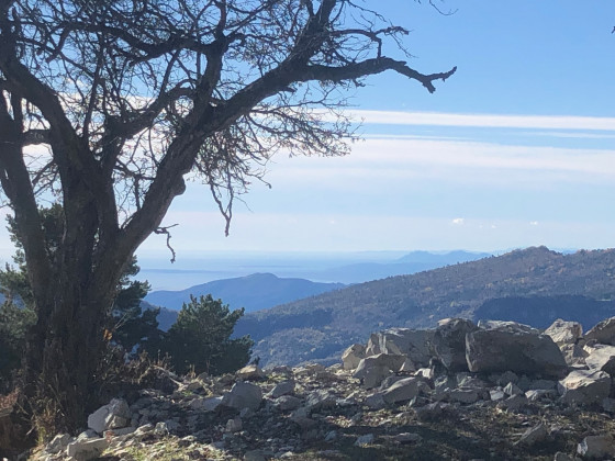 A faire Cime de Linière en partant du Mont Agaisen Randonnée