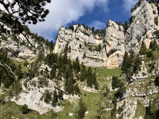 Deux sorties des Griffes de l'Ours