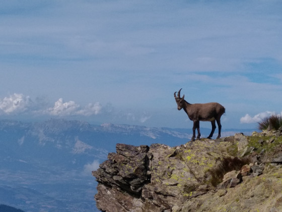 Un beau point d'observation