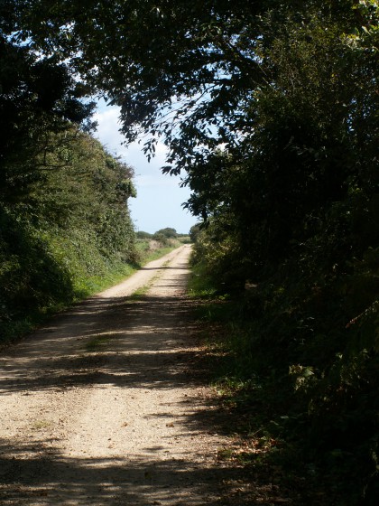 Ancienne voie ferrée dite du "train carottes"