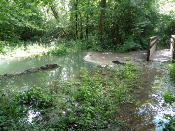 Après les pluies, risque d'inondation.