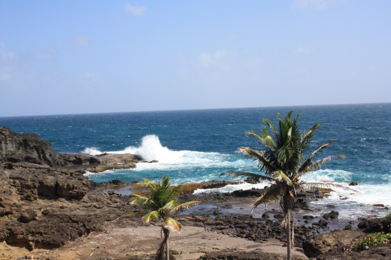 Sur la Presqu'île de la Caravelle