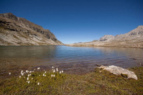 Au bord du Lac Noir