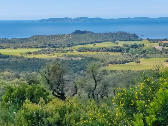 Au loin: Porquerolles