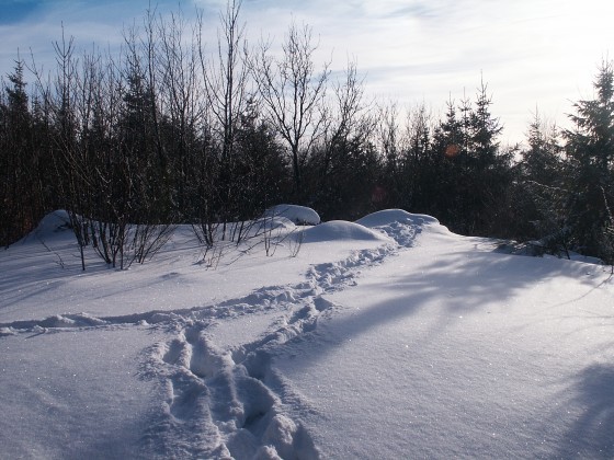 Au Sudel, dans la neige