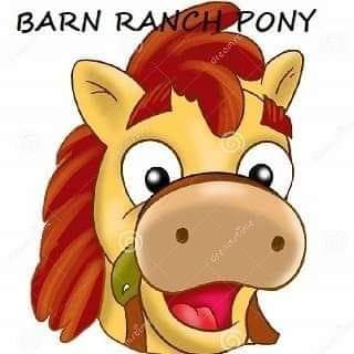 barnranchpony