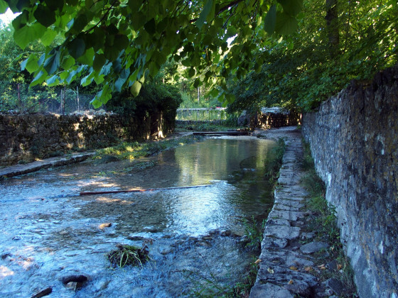 Berrias