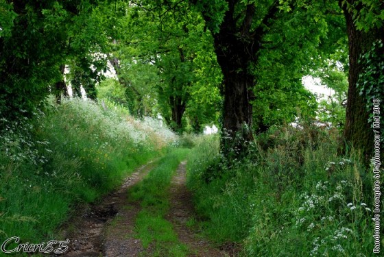 Bocage Vendéen