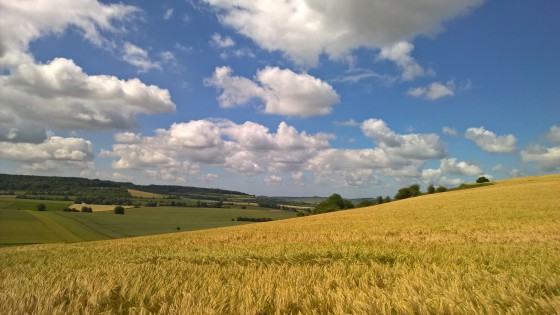 Campagne d'été près de Ballolet