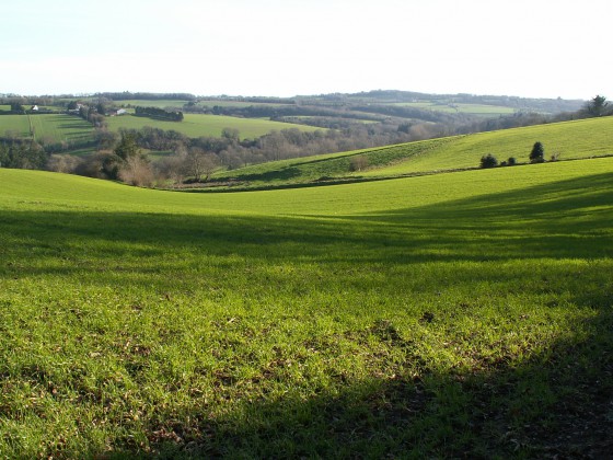 Campagne vallonnée