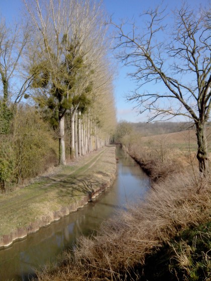 Canal de la Thérouanne