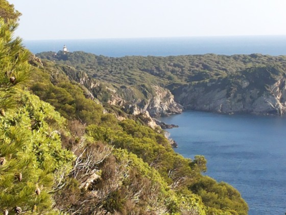 Cap d'Armes et phare de Porquerolles