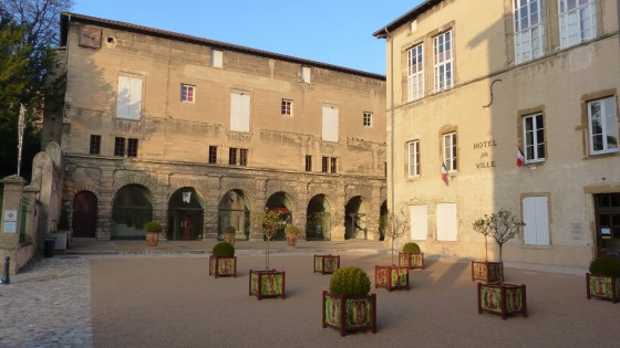 Château de Roussillon