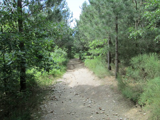 Chemin de la randonnée