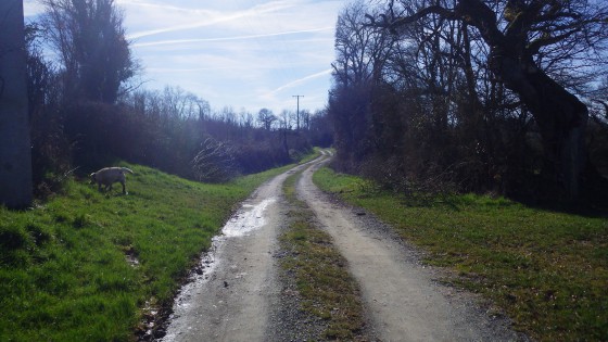 Chemin de la randonnée