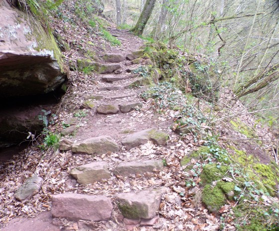 Chemin de randonnée