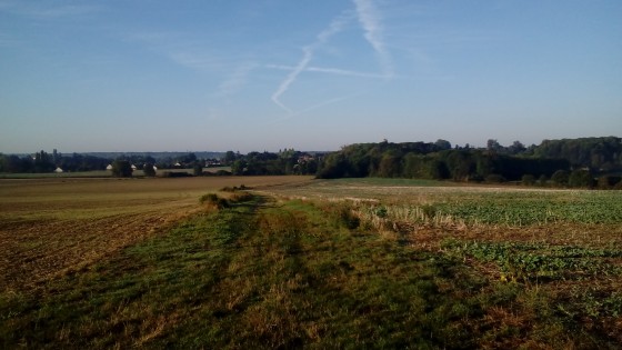 Chemin des champs