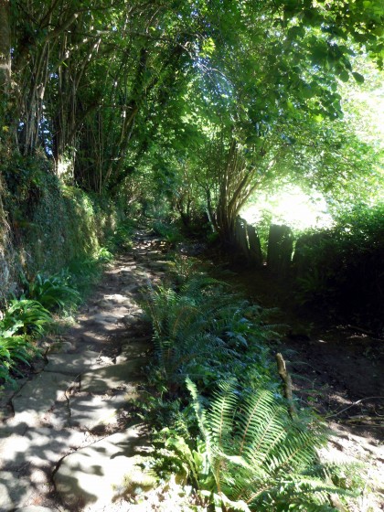 Chemin pavé