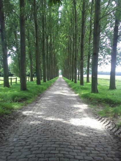 Chemin pavé