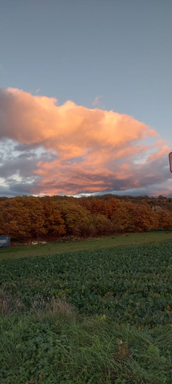 Ciel d'automne