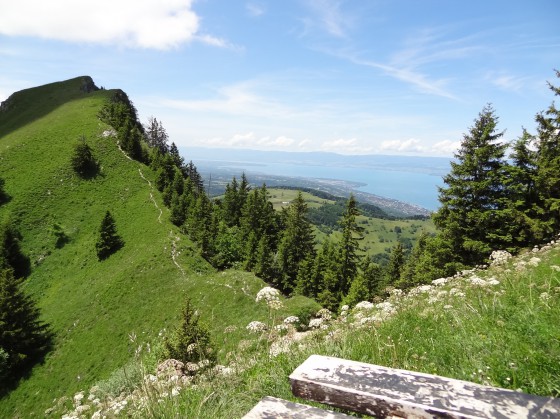 Col de Pertuis