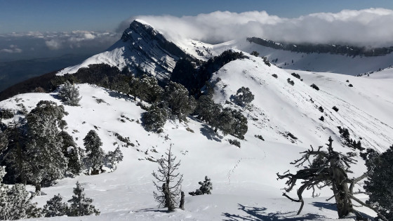 Crête Nord du Rocher Lorzier et vue sur la Grande Sure