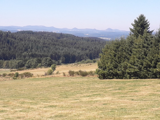 Le plateau du Haut Lignon à découvert