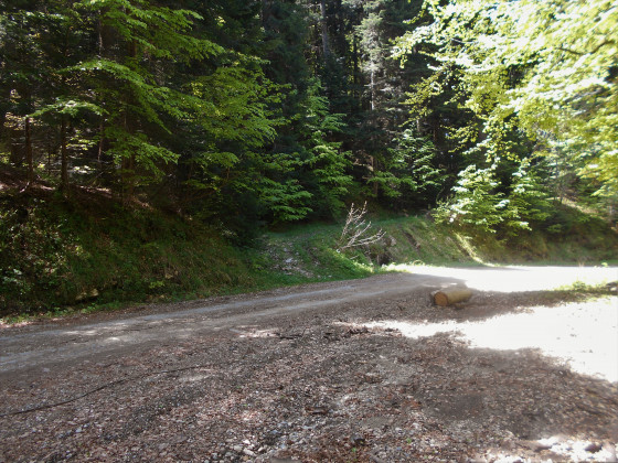 Départ de la piste forestière