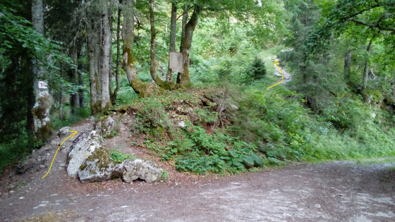 Départ de sentier