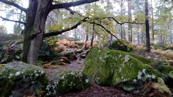 Départ du sentier bleu