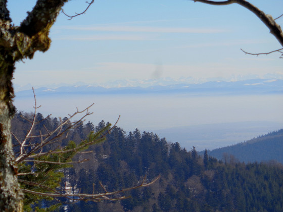 Depuis la Roche du Serpent