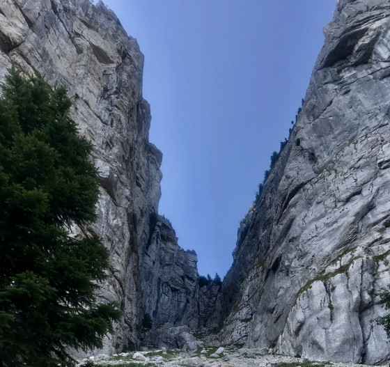 Entrée de la Draye des Communaux