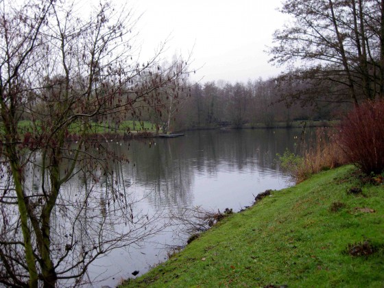 Etang de la muette