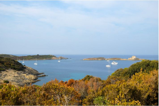 Fort du petit Langoustier