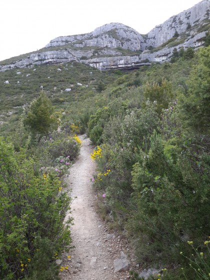 Garrigue