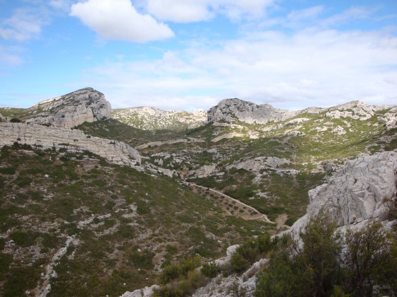 Garrigue