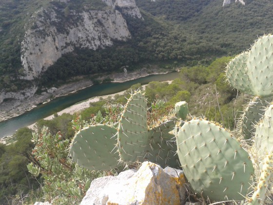 Gorges du Gardon