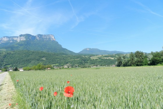 Granier et col du Granier