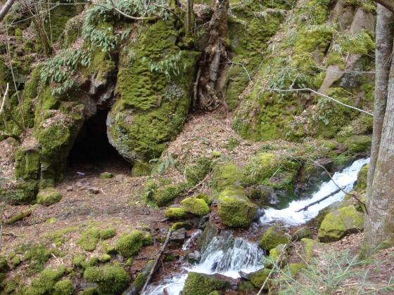 Grotte du loup