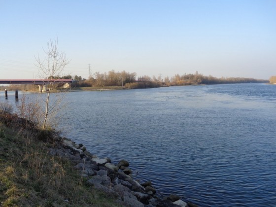 Jonction Canal Rhin-Rhône avec le Grand Canal d'Alsace