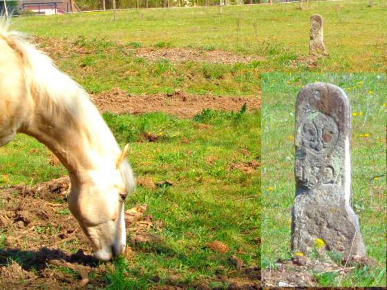 La borne du Roi Soleil et le cheval