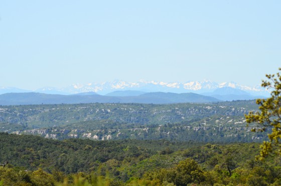 La chaine des Pyrénées