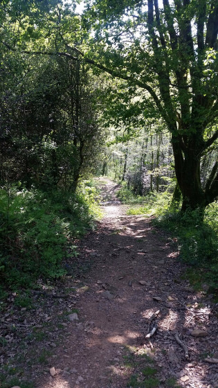 La descente à l'ombre.