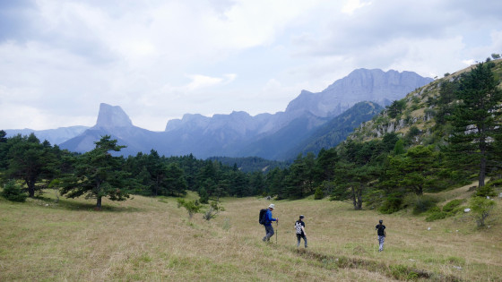 La descente au ruisseau de Chauplane