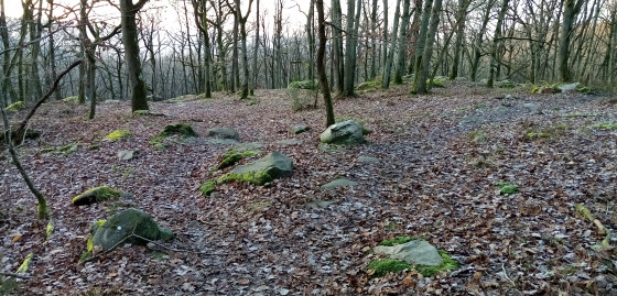 La fourche peu marquée